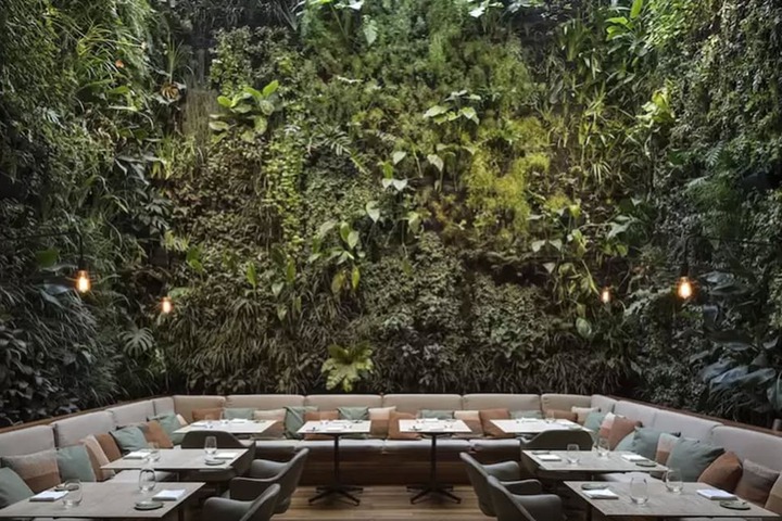 Dining 47 of 68