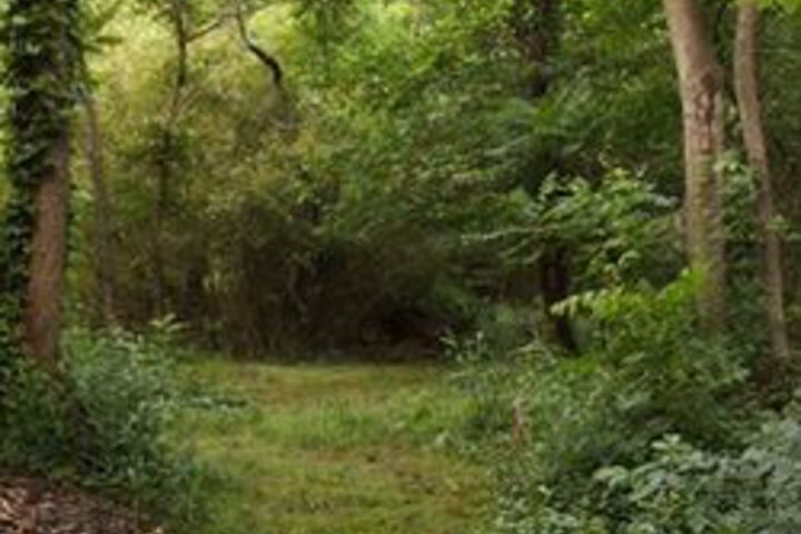 Property Grounds 32 of 33