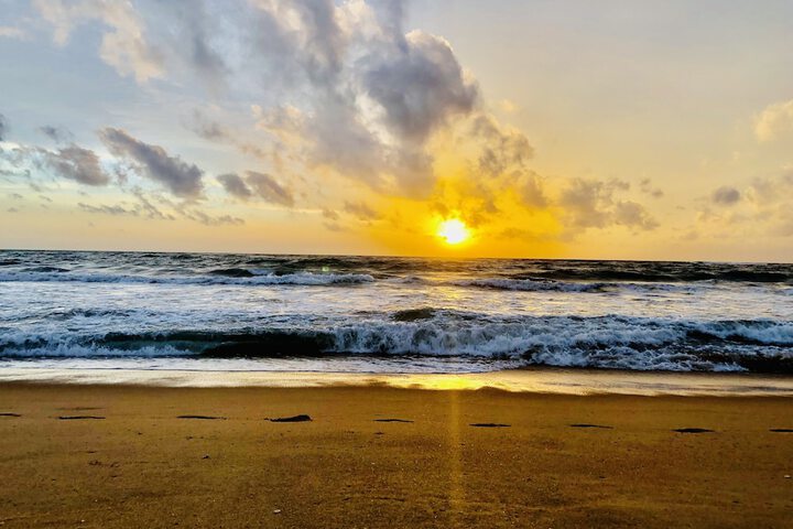 Beach 63 of 66