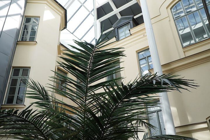 Lobby Photos