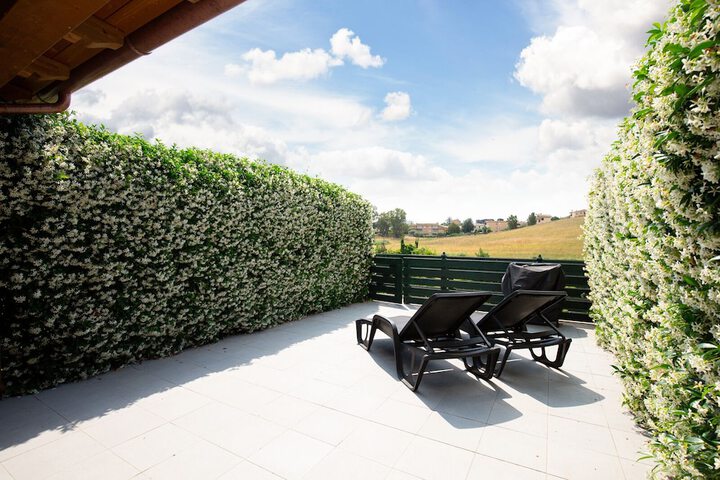 Terrace/Patio 63 of 111
