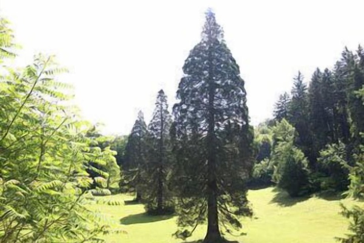 Property Grounds 15 of 19