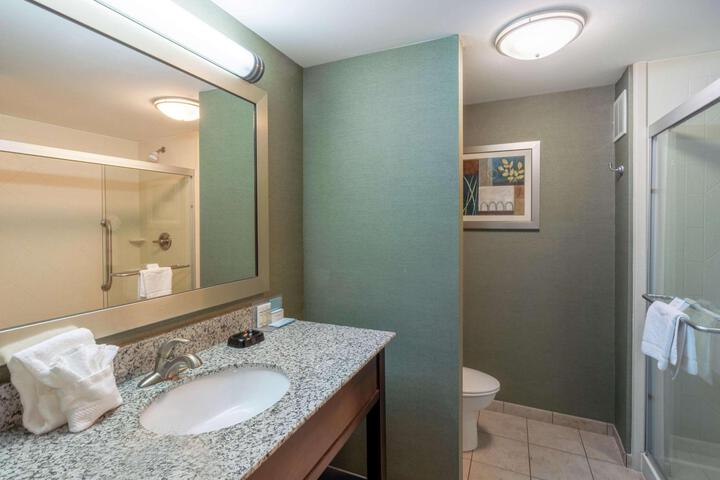 1 King Mobility Hearing Accessible 3x3 Shower (10 of 17)