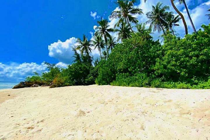 Beach 218 of 254