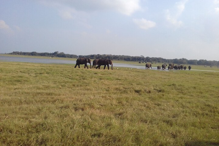 Spa and Wellness Pictures