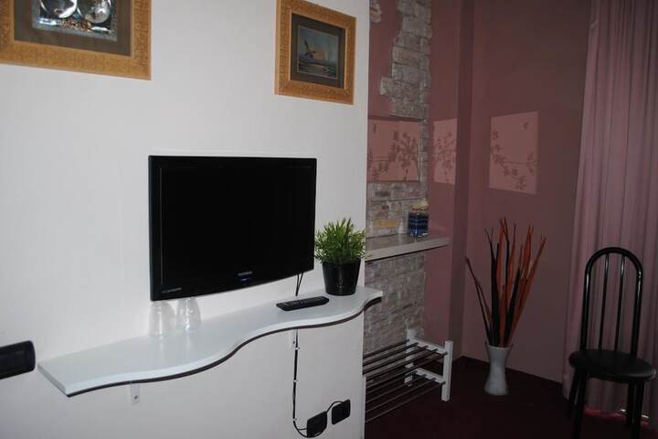 Television