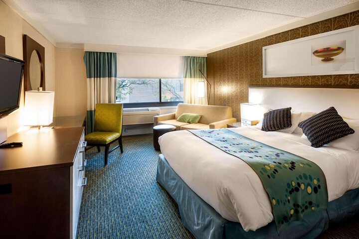 1 King Bed (8 of 13)