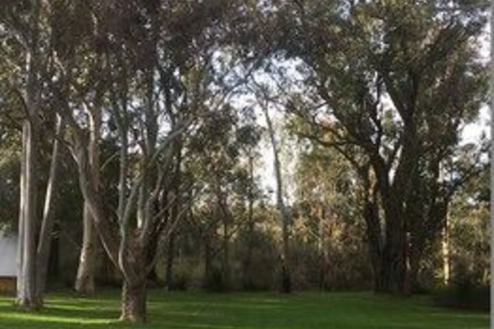 Property Grounds 46 of 49