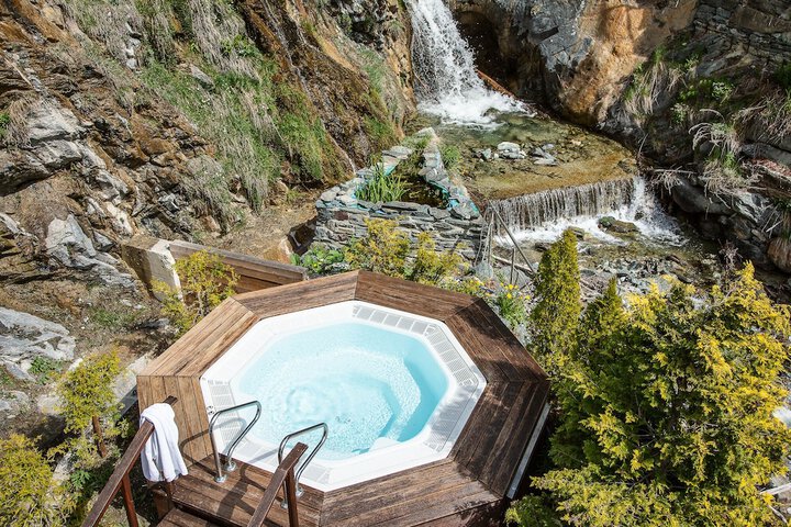 Wellness Treatments