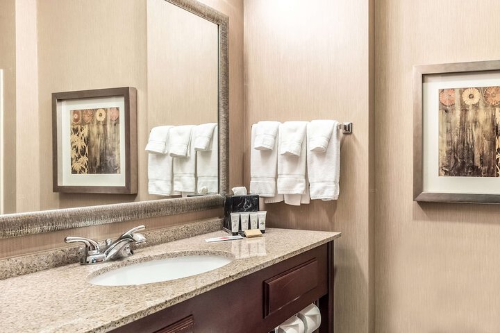 1 King Bed Suite (6 of 9)