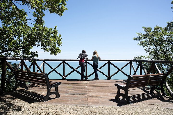 Terrace/Patio 62 of 71