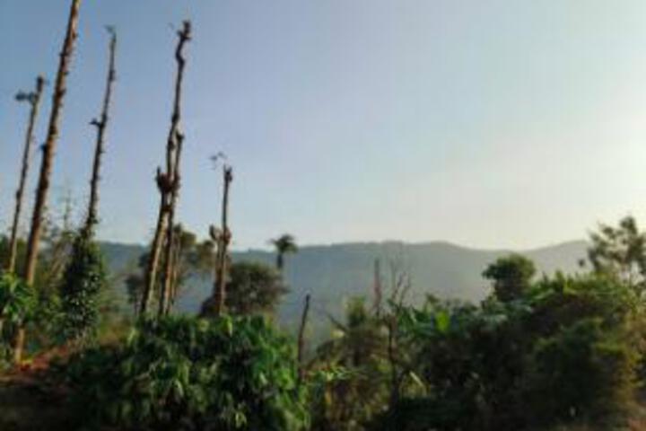 Hero Image 1 of 4