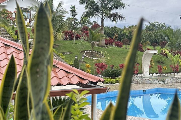 Pool 12 of 21