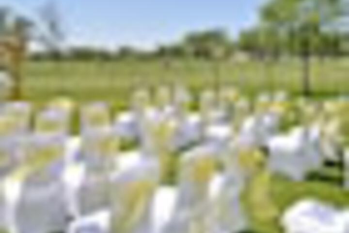 Outdoor wedding area