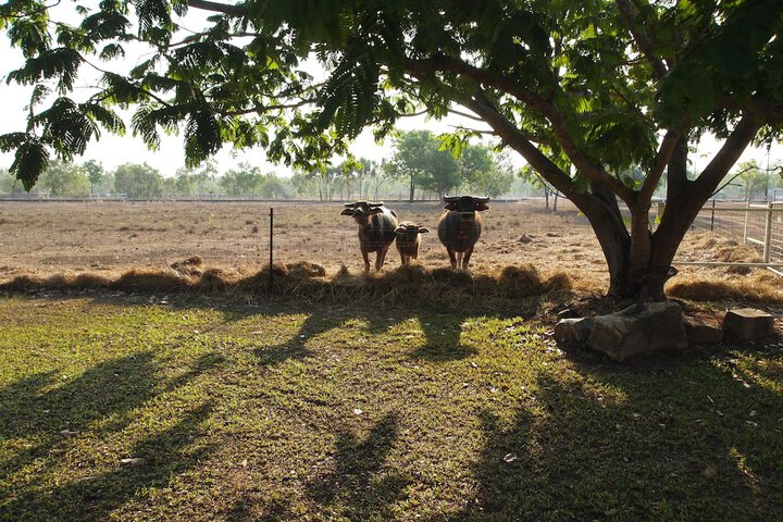 Hotel Exterior 19 of 24