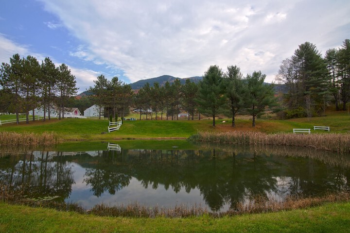 View from property