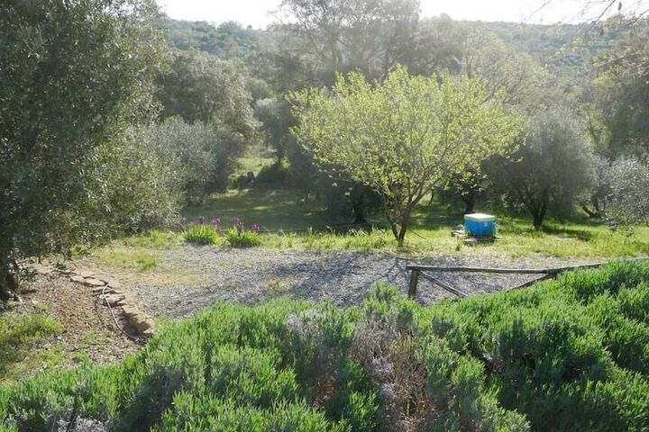 Property Grounds 19 of 37