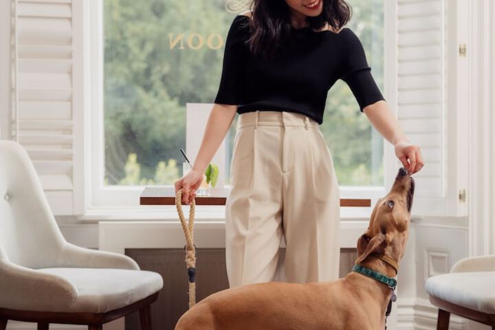 Pet Friendly 56 of 152