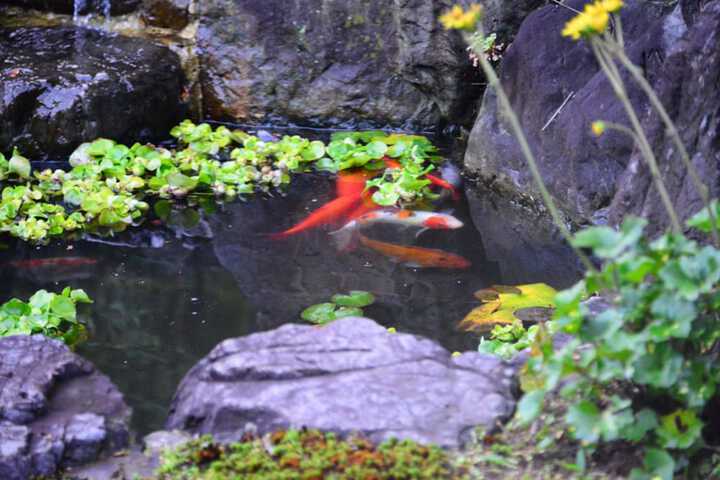 Hotel Exterior 33 of 51