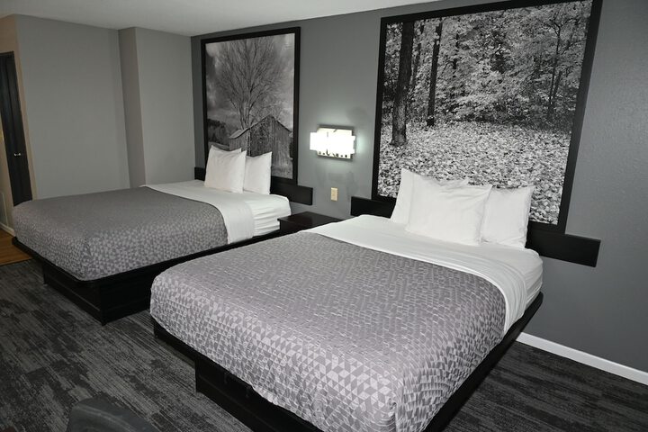 1 Queen Bed Mobility Hearing Accessible Bathtub with Grab Bars (2 of 16)