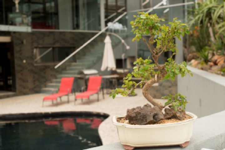 Hotel 23 of 252