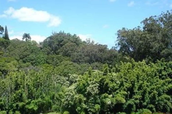 Property Grounds 19 of 23