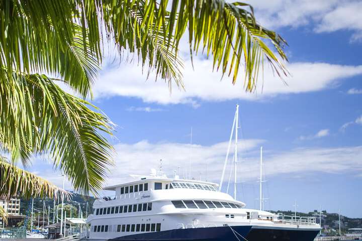 Papeete Harbour by Haumana Cruises