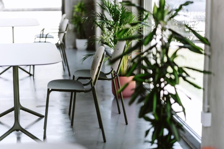 Dining 47 of 62