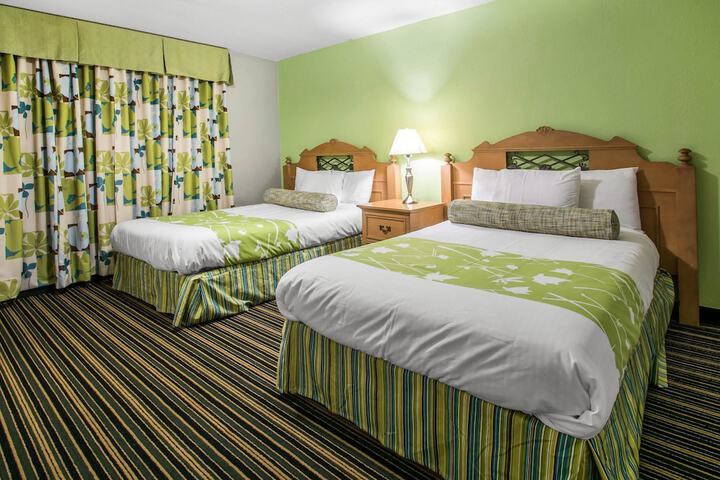 Suite King Bed Pet Friendly (11 of 21)