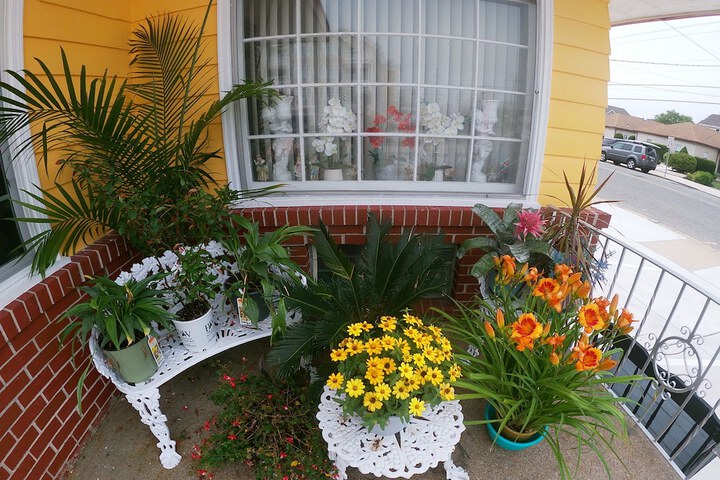 Property Grounds 18 of 24