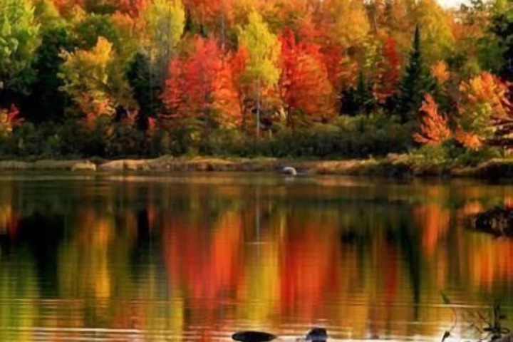 Property Grounds 39 of 44