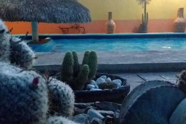Pool 54 of 104