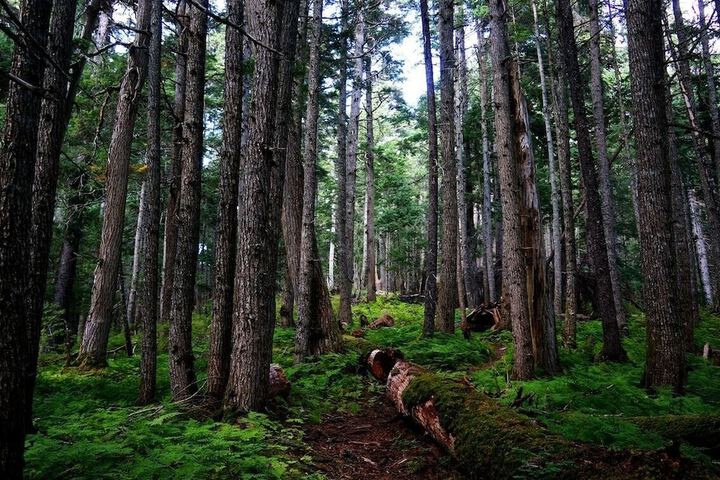 Hotel Interior 41 of 57