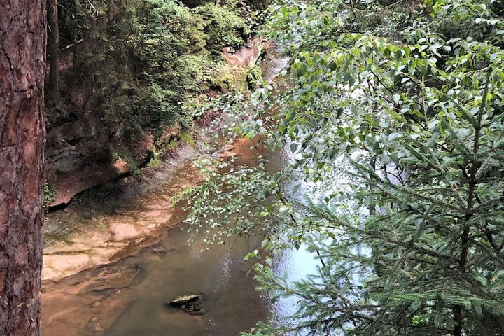 Hiking