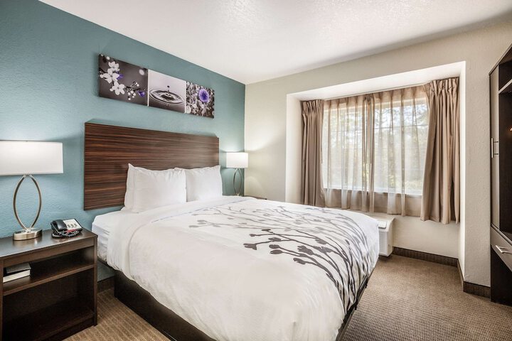 Suite Queen Bed (1 of 14)