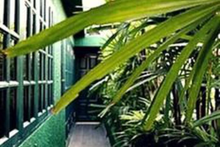 Terrace or Patio