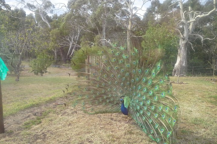 Property Grounds 29 of 38