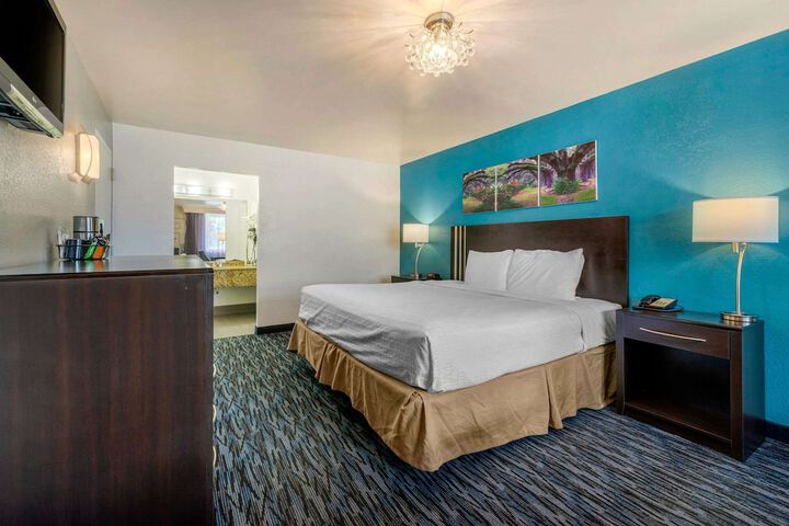 1 King Bed Accessible (13 of 24)