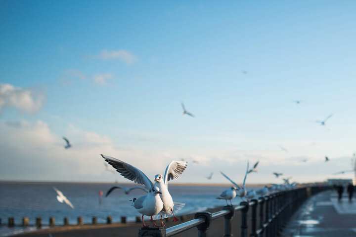 Point of interest