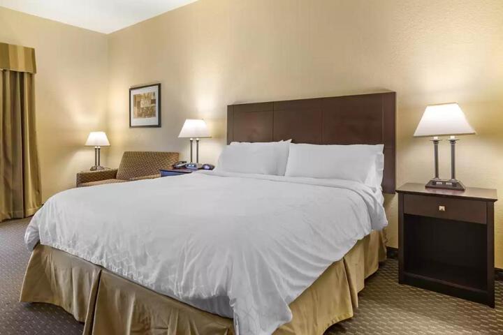 1 King Bed (10 of 22)