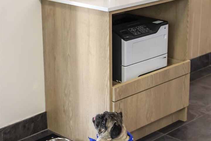 Pet Friendly 28 of 37