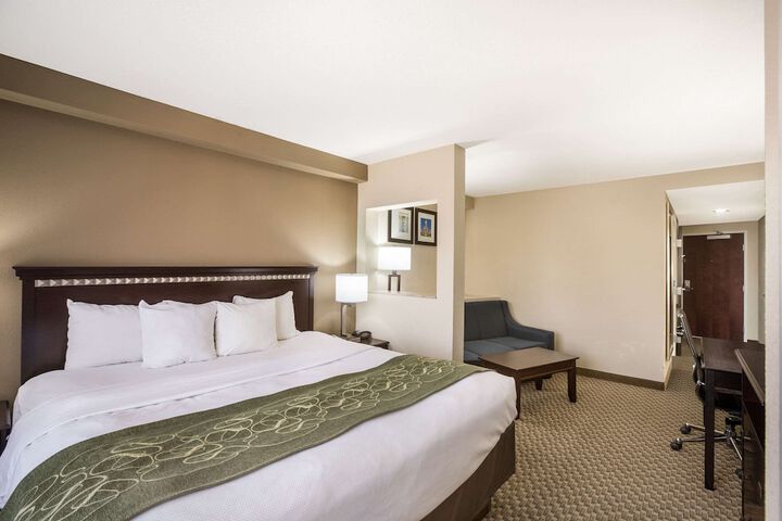 Suite 1 King Bed (15 of 19)
