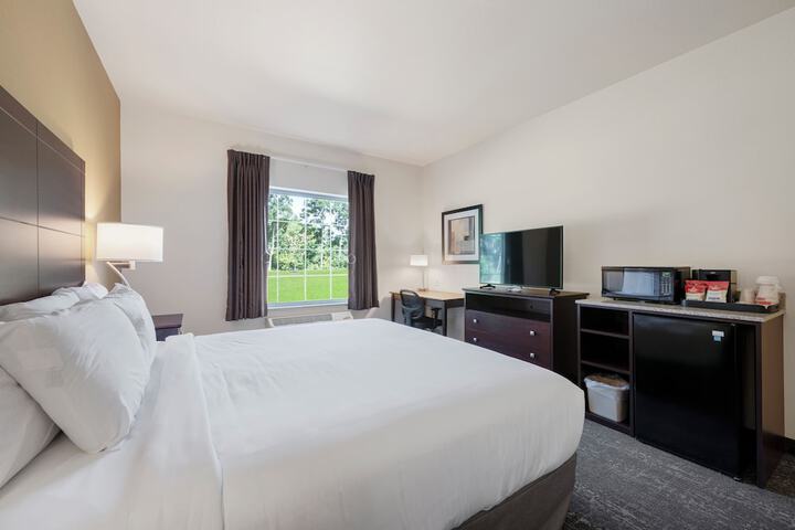 Guest Room Single King Bed Accessible (8 of 17)