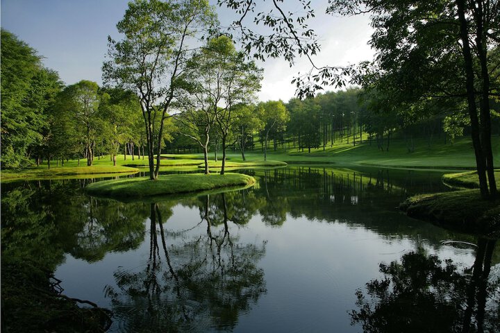 Golf 40 of 64