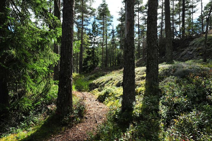 Hiking