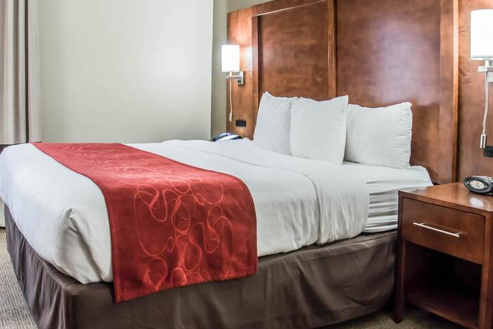 Suite 2 Queen Beds (6 of 16)