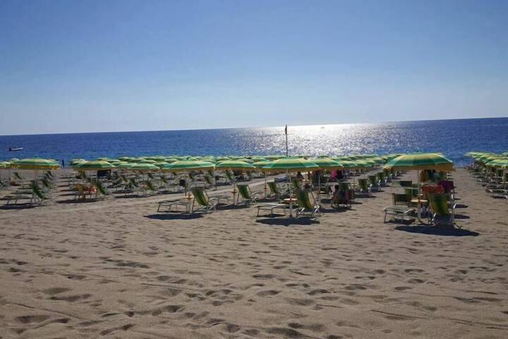 Beach 47 of 59
