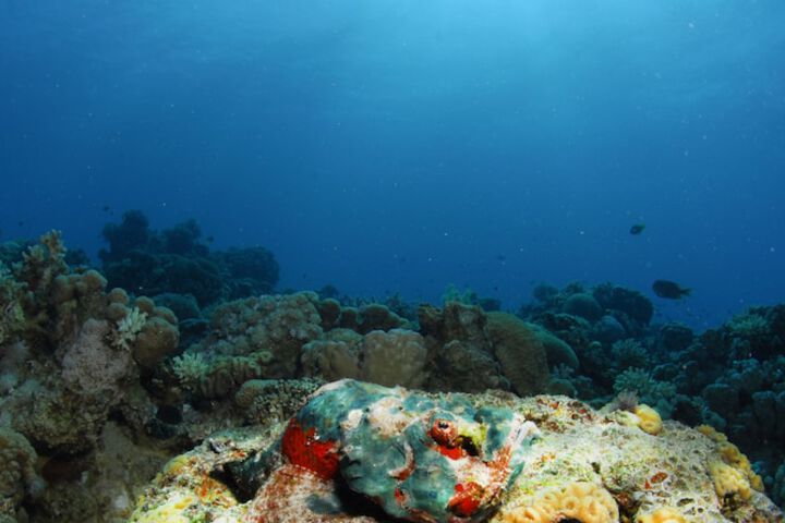 Aqaba Adventure Divers Village