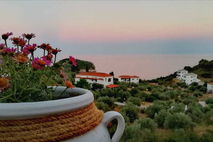Hotel Ariadne in Skopelos