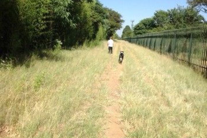 Property Grounds 14 of 17